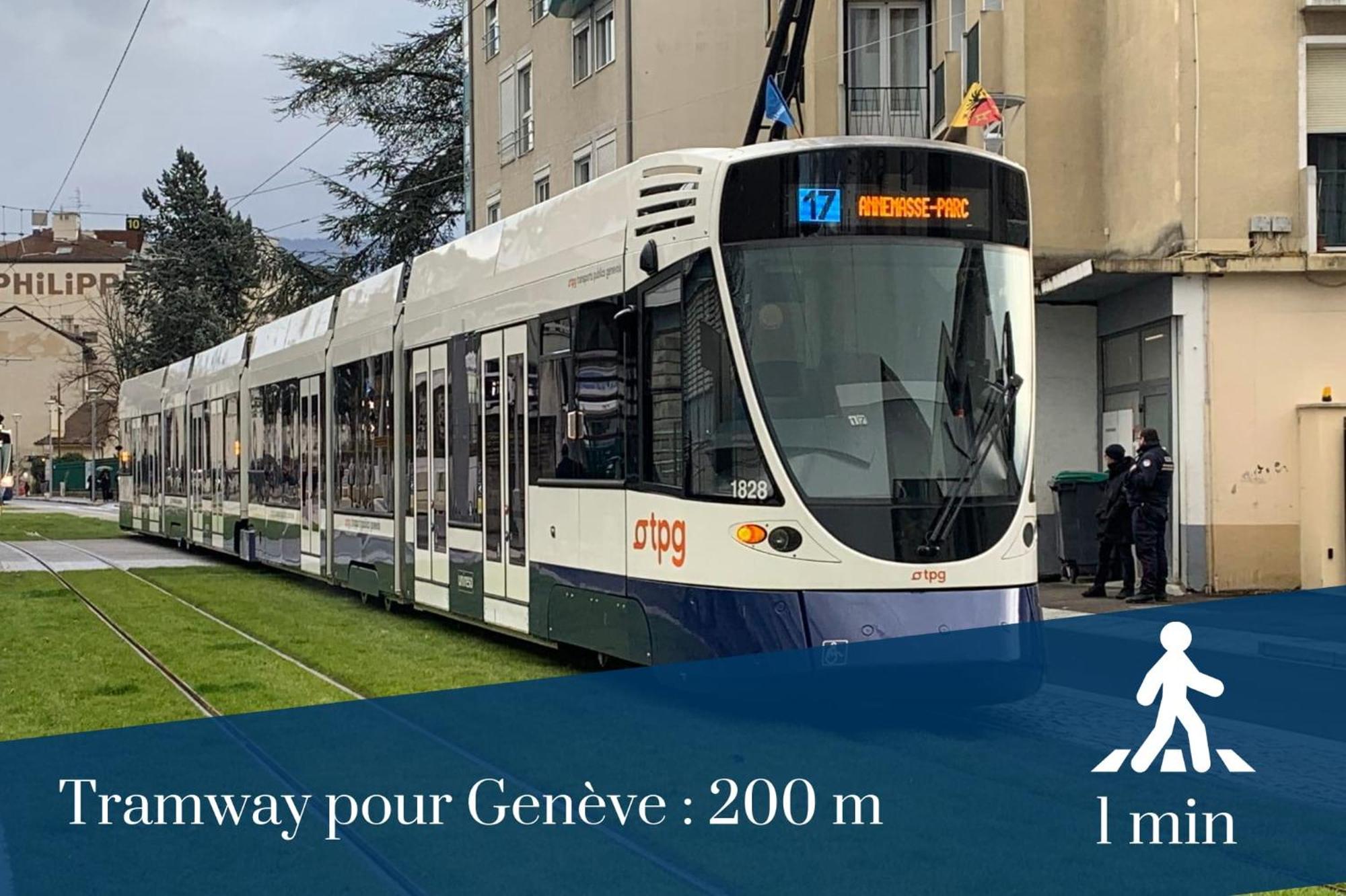 Homey Wild - Proche Gare Et Tram - Proche Centre - Balcon Prive - Parking Prive - Wifi Gratuit Annemasse Esterno foto